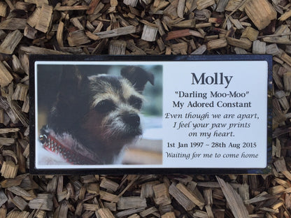 Photo Enamel Plaque on Granite Pet Memorial