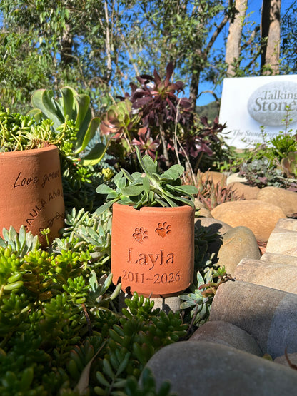 Terracotta planter with engraved name 'Layla' in a garden setting