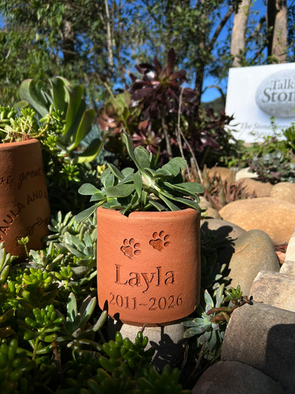 Terracotta pot with engraved name and years, surrounded by greenery and rocks.