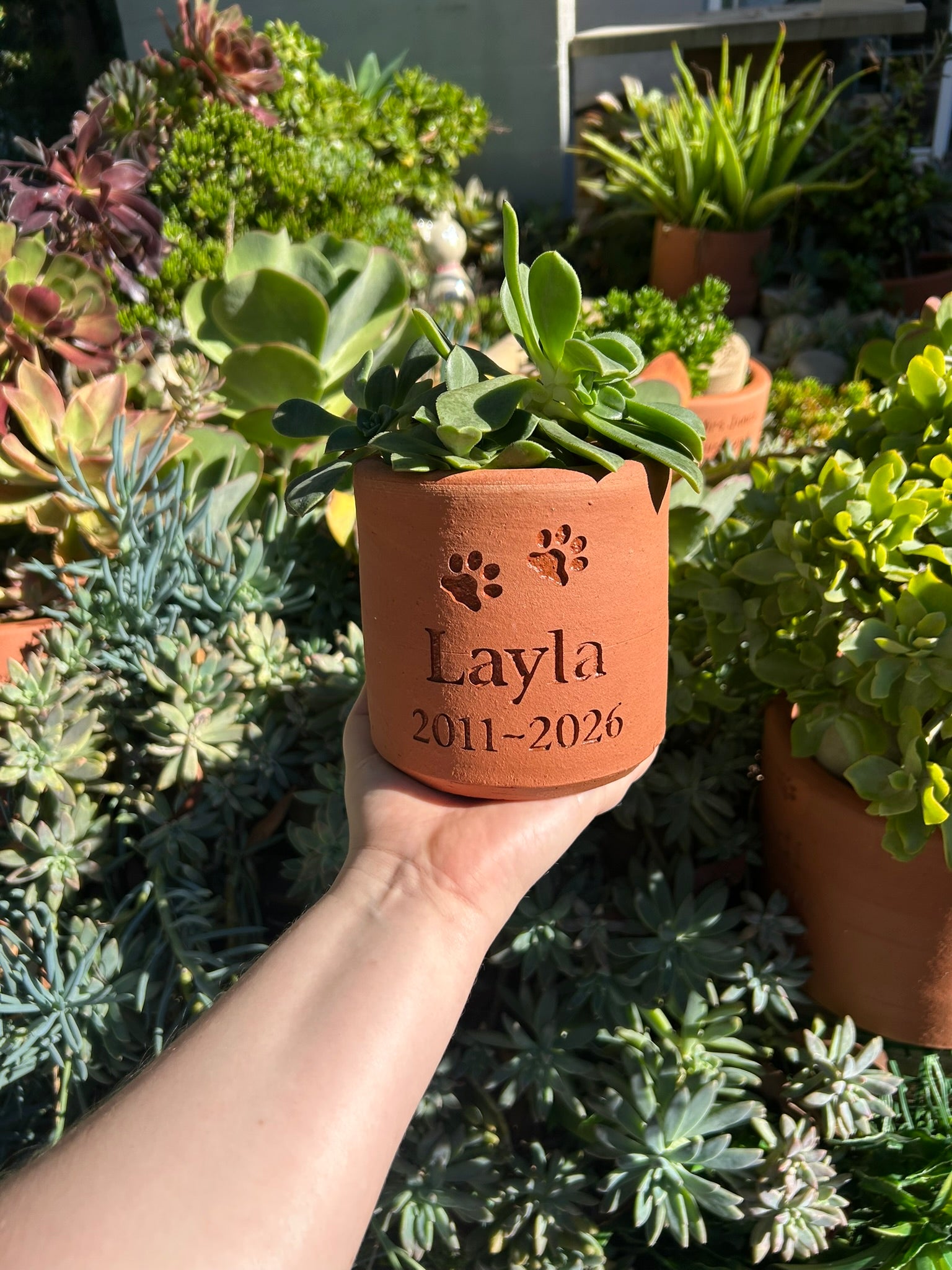 Plant Pot Pet Memorial - Small