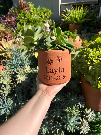 Plant Pot Pet Memorial - Small