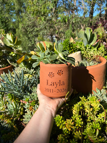 Plant Pot Pet Memorial - Small