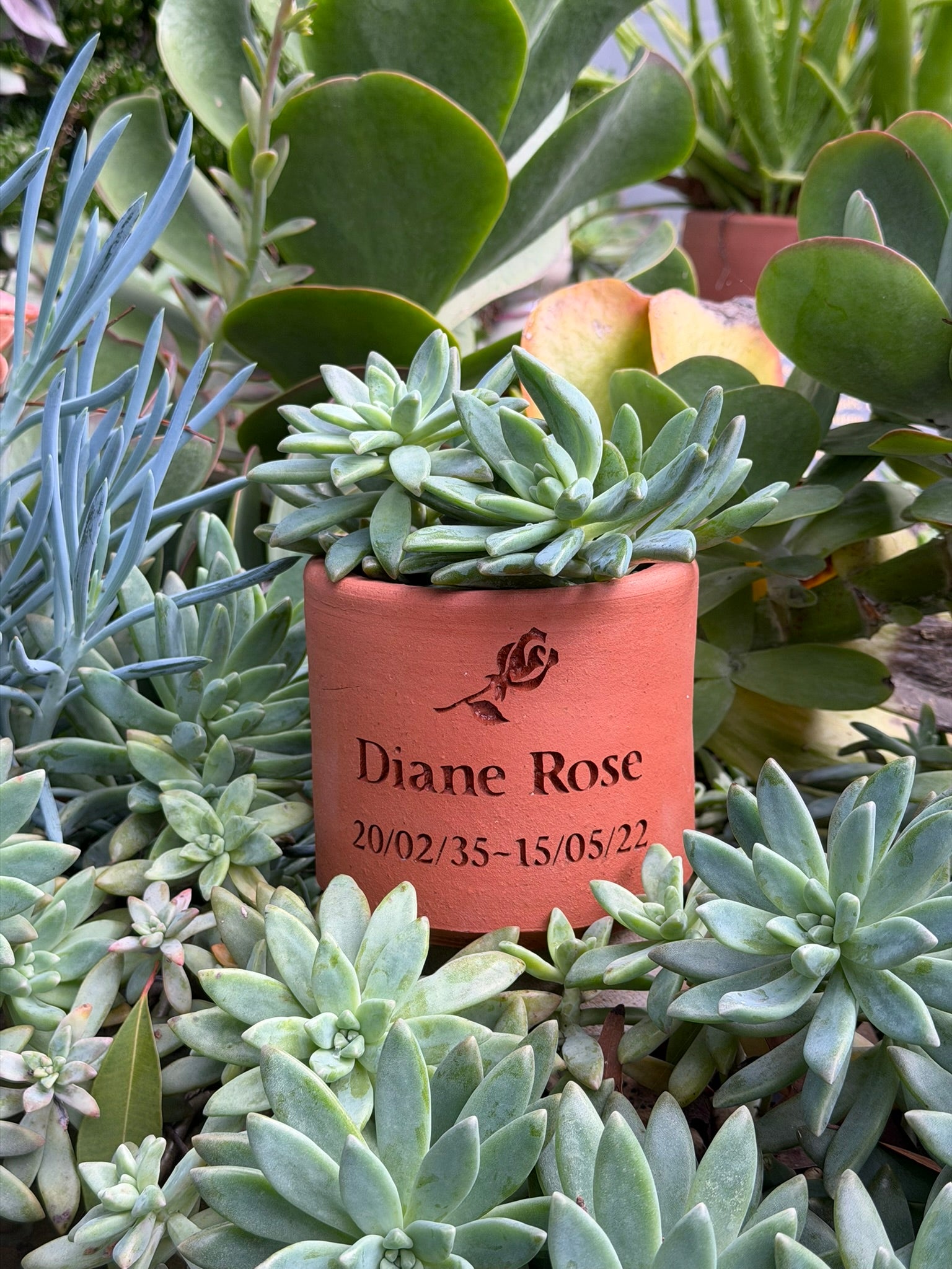 Plant Pot Memorial for People - Small