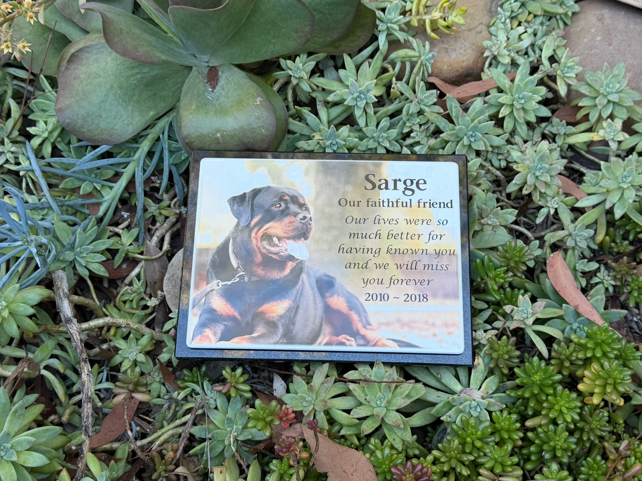 Photo Enamel Plaque on Granite Pet Memorial