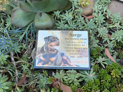 Photo Enamel Plaque on Granite Pet Memorial