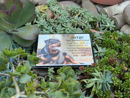 Photo Enamel Plaque on Granite Pet Memorial