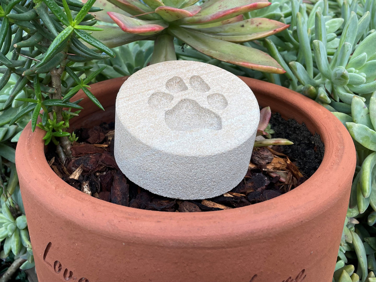 Sandstone Paw Print Keepsake Pet Memorial