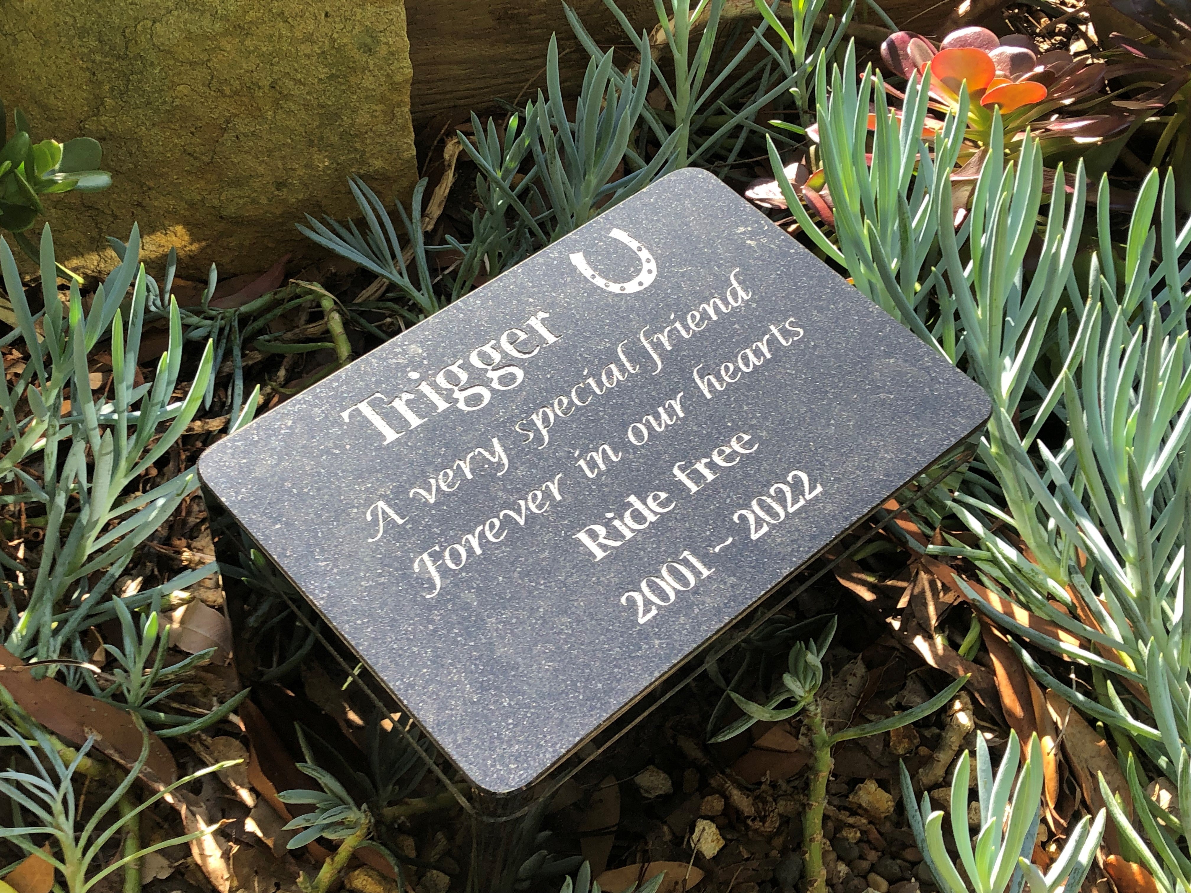 Everlasting Spirit Granite Memorial Urn Box for Pet
