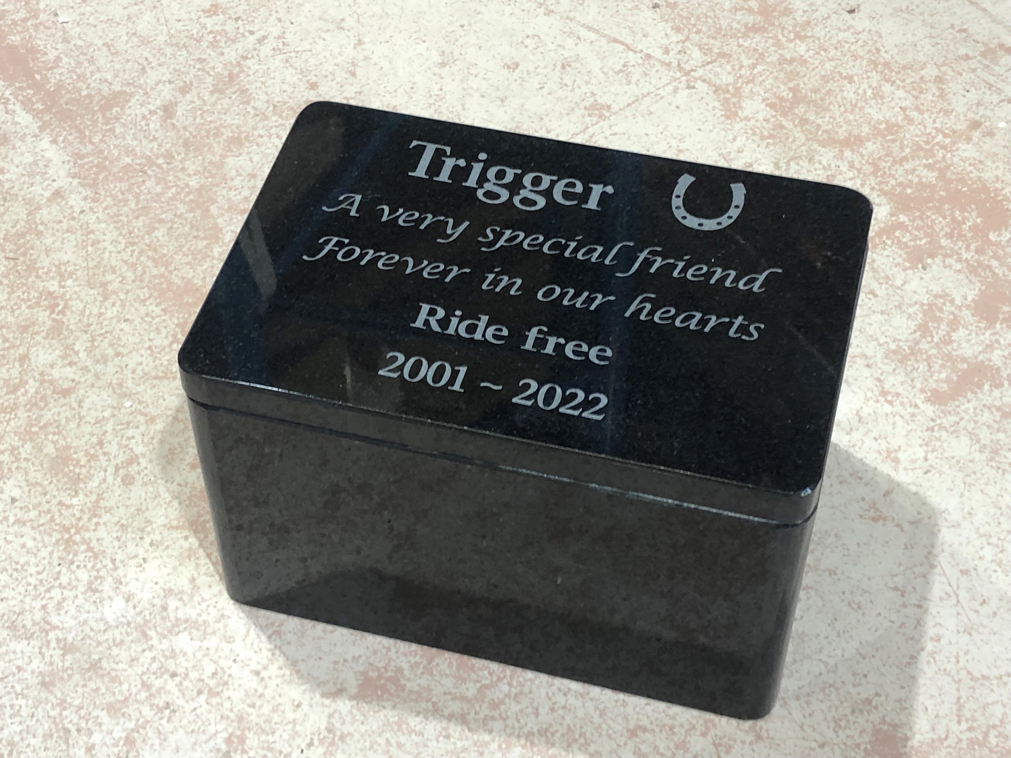 Everlasting Spirit Granite Memorial Urn Box for Pet