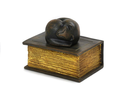 Cast Resin Cat Figurine Urn - Sleeping Cat on Book