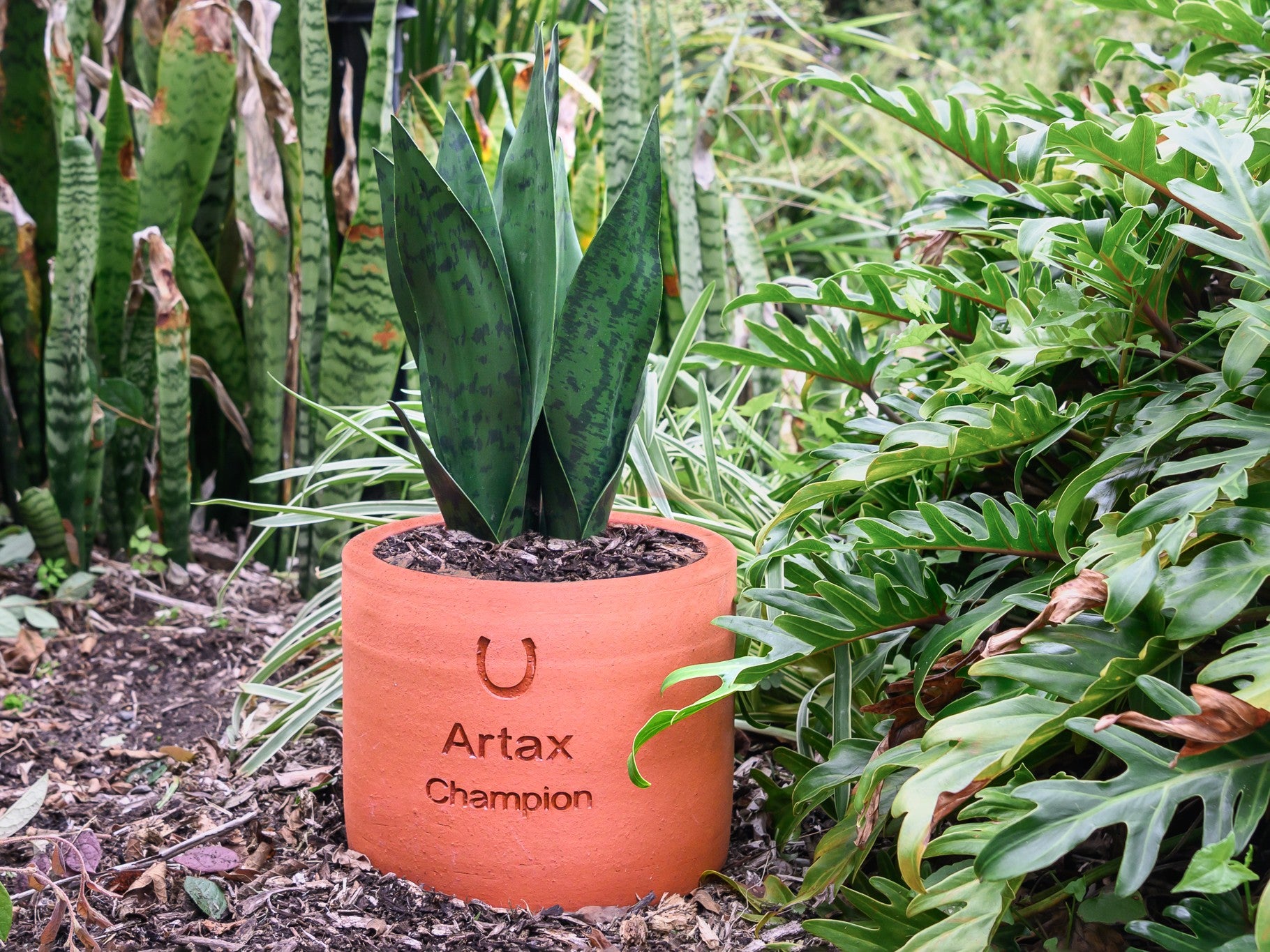Plant Pot Pet Memorial