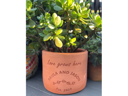 Plant Pot