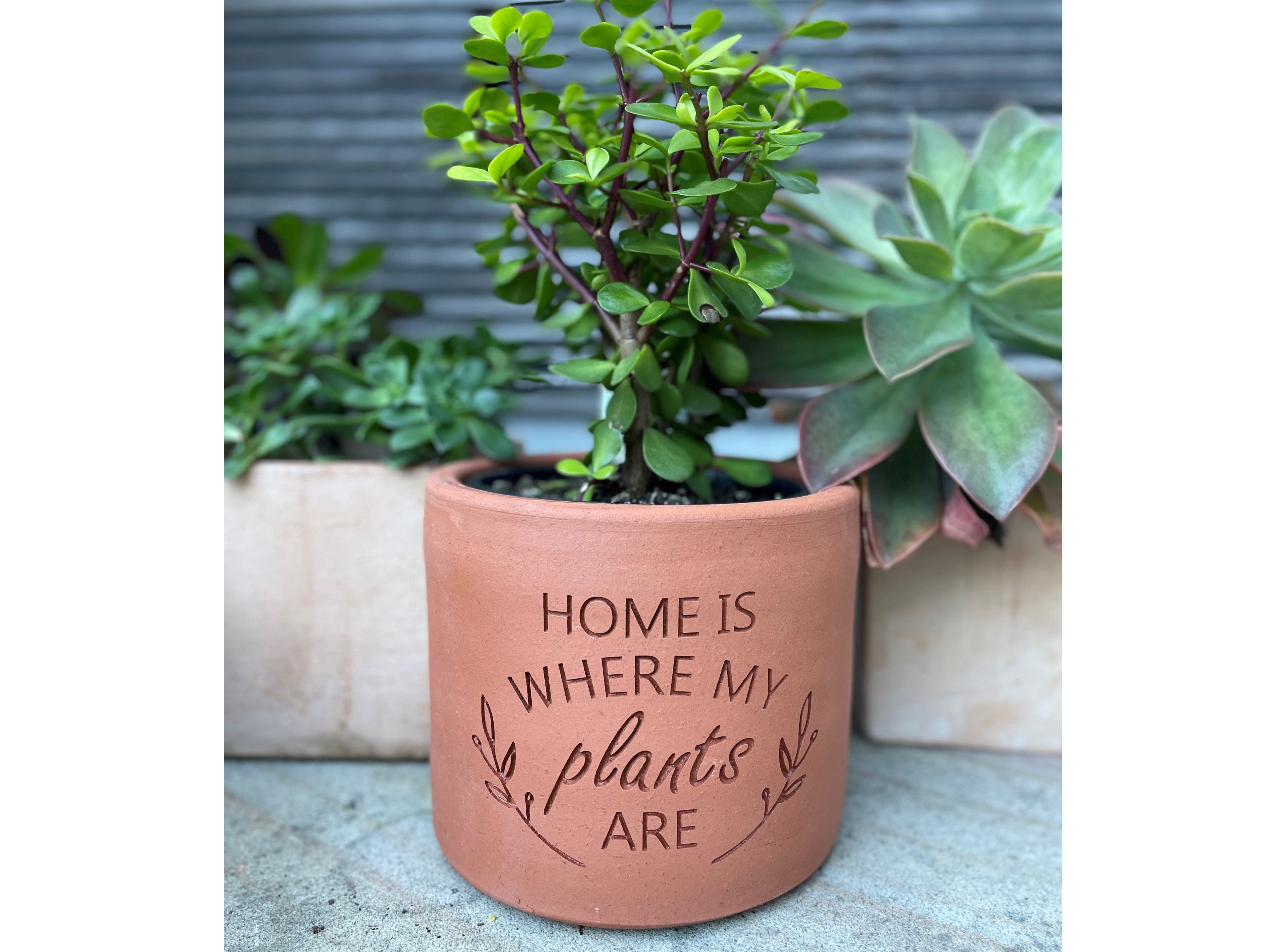 Plant Pot