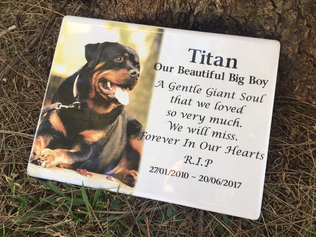 Stainless Steel Photo Plaque Pet Memorial