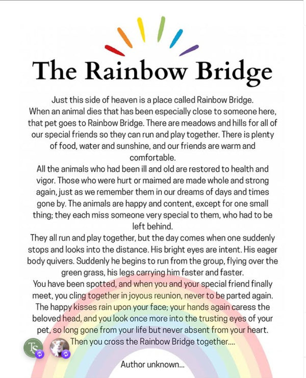 We would like to honour and remember pets that have passed away. Today is a day for all pet owners to reflect on the joy and love their animal companions brought into their lives and to share memories of their beloved pets. The day is inspired by the “Rainbow Bridge” poem and story, which describes a place where pets go after death, free from pain and waiting for their owners.
