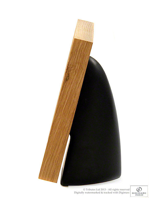 Tribute Frame Pod with Ashes Urn