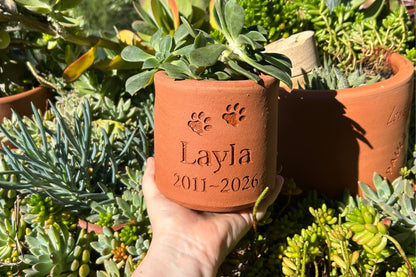 Plant Pot Pet Memorial - Small