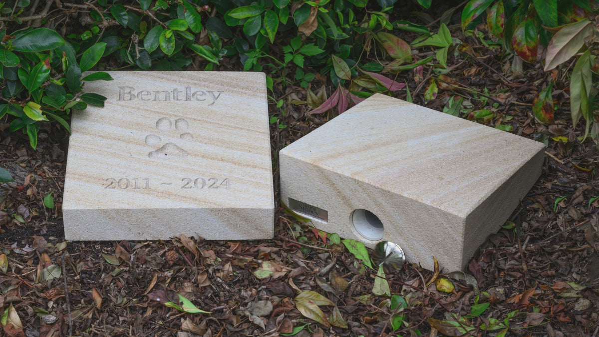 Your Pets Paw Print Set in Stone (20cm x 20cm)