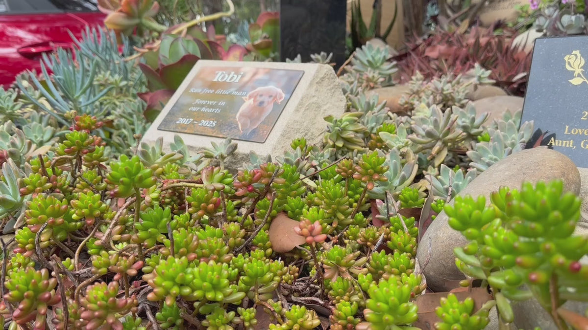 Personalised Sandstone Pet Memorial with Full Colour Photo Plaque