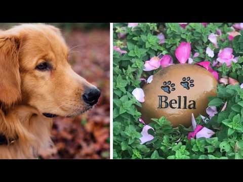 Tumbled Riverstone Pet Memorial