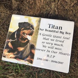 Personalized Pet Memorial Plaque 